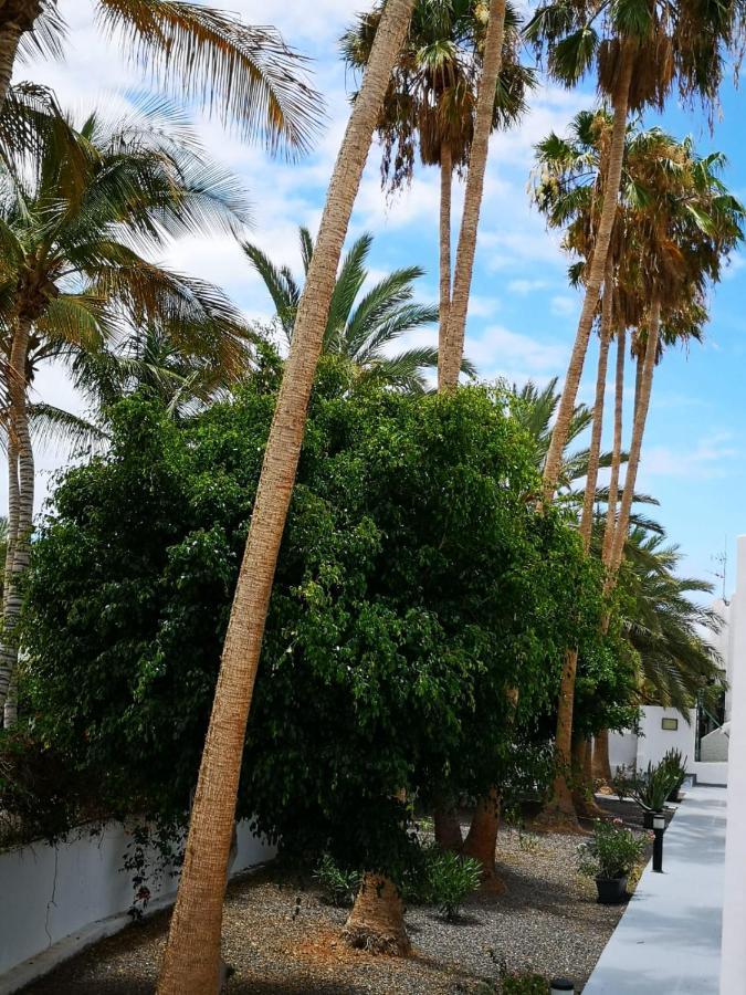 Estrella De Mar Apartment Tarajalejo Exterior foto